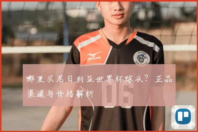 哪里买尼日利亚世界杯球衣？正品渠道与价格解析
