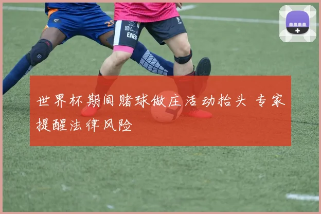 世界杯期间赌球做庄活动抬头 专家提醒法律风险