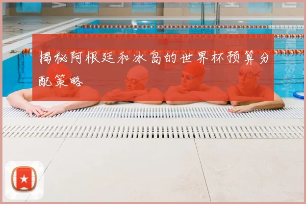 揭秘阿根廷和冰岛的世界杯预算分配策略