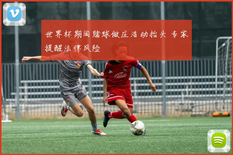 世界杯期间赌球做庄活动抬头 专家提醒法律风险