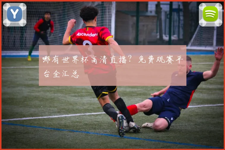 哪有世界杯高清直播？免费观赛平台全汇总